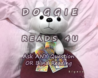 VIP DOGGIE Reads Tarot Cards For You | Probably VERY Accurate(?) | Like Maybe Gifted With Psychic Abilities | Spiritual Gifts | Oracle Decks