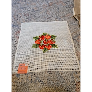 May include: A square piece of white plastic needlepoint canvas featuring a centered design of red strawberries with green leaves. An orange rectangular label is attached to the bottom left corner with the text Scovill Dritz Quickpoint Needlepoint.