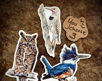 Choose Any 3 Bird Stickers, Waterproof Vinyl Decals