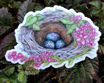 Northern Mockingbird Nest sticker, vinyl, 3.5", original illustration
