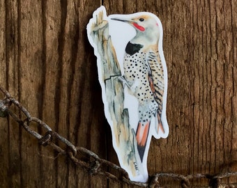 Northern Flicker sticker, vinyl, 3.5", waterproof, original illustration, woodpecker