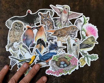 Set 16 CA native birds, stickers, vinyl, 3.5-5", waterproof, original illustrations