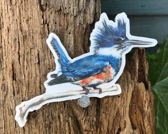 Kingfisher sticker, vinyl, 4.5”, waterproof vinyl, original illustration
