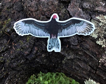 Turkey Vulture sticker, vinyl, 5" waterproof, original illustration