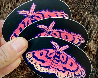 Western Sheep Moth sticker