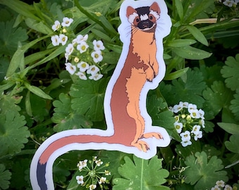 Long-tailed Weasel sticker, nature, joy, playful, hunter, mammal, predator, vinyl, illustration, painting, drawing, graphic,