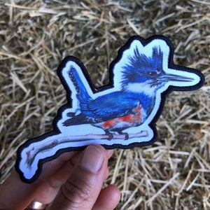 Kingfisher Patch, iron-on or sew, original illustration, digital print