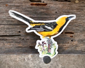 Hooded Oriole sticker, 3.5”, waterproof, matte vinyl, original illustration