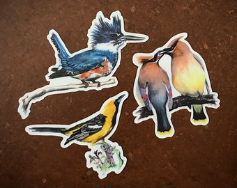 Jazzy Collection Stickers