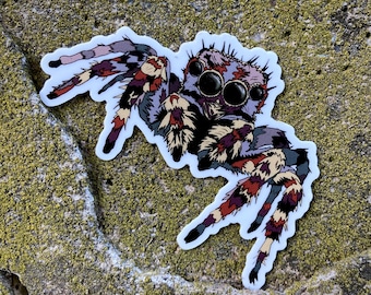 Jumping Spider Sticker, waterproof, UV-resistant