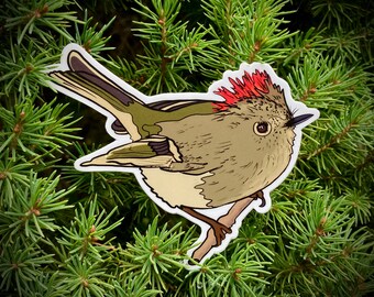Ruby-Crowned Kinglet sticker 3.25”, vinyl, waterproof, UV resistant