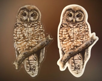 Spotted Owl, clear vinyl sticker, 3.5”, waterproof, original illustration