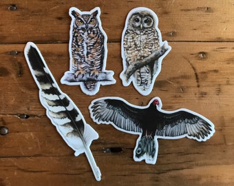 Raptor Collection Stickers