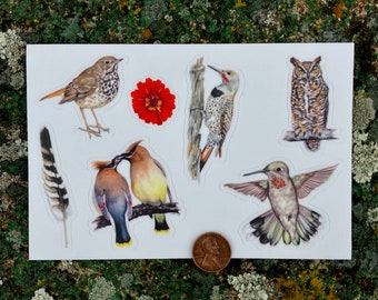 Bird Sticker Sheet