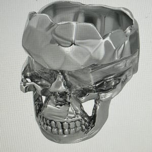 May include: A silver-colored skull-shaped ring with a textured, metallic finish. The ring features a detailed skull design with visible teeth and eye sockets, creating a gothic or edgy aesthetic.