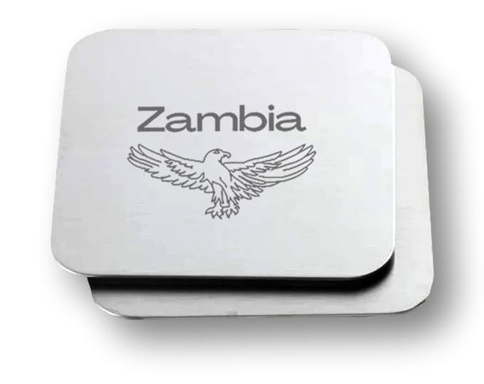 Zambia Drink Coasters, Set of 2, Square Metal, Fish Eagle, Stainless Steel