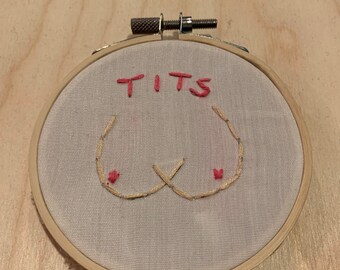 Tits Boobies klein borduurwerk kunst aan de muur stiksels