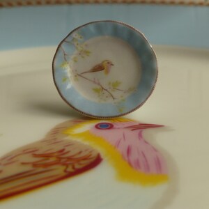 Blue Sparrow Dollhouse Miniature Piastra Scala 1:12