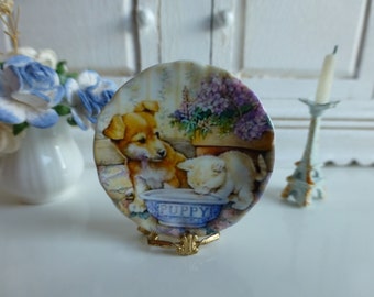 Plato miniatura para casa de muñecas: Cachorro y gatito mejores amigos