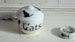 Cat's Treats Porcelain Dollhouse Miniature Bowl 