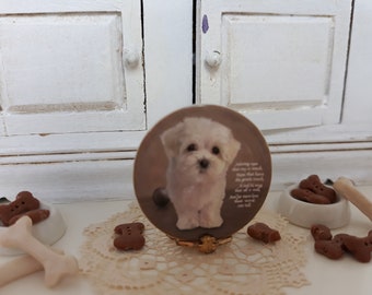 Lovely Puppy Maltese Plate for Dollhouse