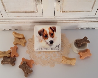 Dollhouse Miniature Jack Russel Dog Square Plate for 1:12 Scale