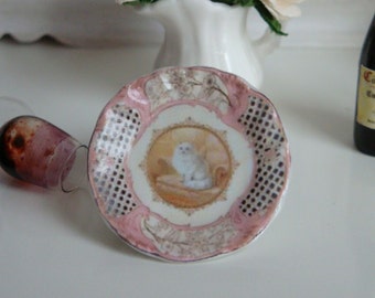 Plato de gato blanco Coalport para casa de muñecas