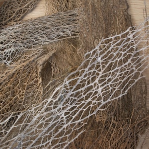 May include: A collection of dried, light brown and white, delicate, branch-like plant material with a lacy, web-like texture.