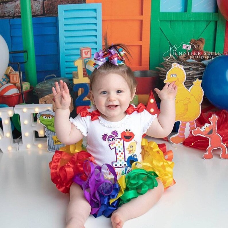1st Birthday outfit Elmo Tutu Outfit elmo and friends tutu dress tutu outfit Sesame Street birthday outfit ribbon trim rainbow tutu outfit