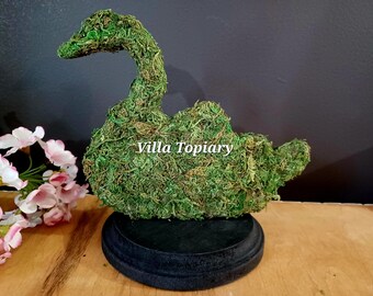 Topiary Silhouette Swan