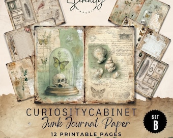 May include: A collection of vintage-style printable junk journal pages. The pages feature botanical illustrations, butterflies, seashells, and a skull under a glass dome. The text "Curiosity Cabinet Junk Journal Paper" is displayed.