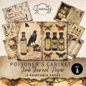 Apothecary Junk Journal Pages: Vintage Witchy Ephemera (Digital Download 11x8.5) JJ085 Set A