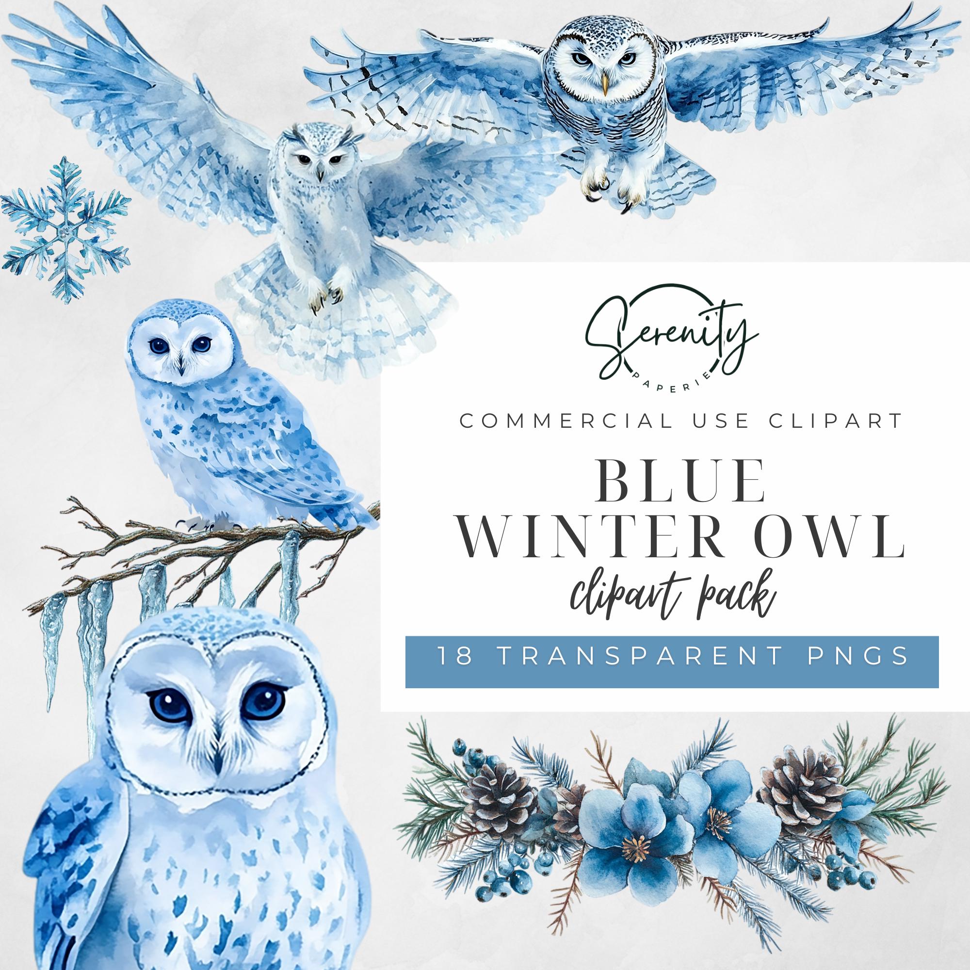 Blue Winter Owl, Watercolor Snowflake Clip Art, Floral PNG Winter Snow Scene illustration, Commercia