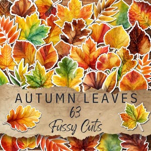 May include: A selection of 63 die-cut autumn leaves in a variety of shapes and sizes. The leaves are in shades of red, orange, yellow, and green, with white borders. The text "AUTUMN LEAVES" and "Fussy Cuts" is displayed on a torn paper background.