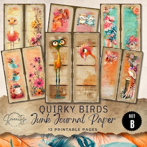 Quirky Bird Junk Journal Digital Papers Printable Pages, 6 Digital Journal Pages, Ephemera, Collage Sheet 11 x 8.5, JJ046 Set B