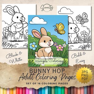 May include: A set of adult coloring pages titled "Bunny Hop." The image features three sample coloring pages: one black and white, one colored with a bunny and butterfly, and one bold and easy. The set includes 16 pages in JPG, PNG, and PDF formats.