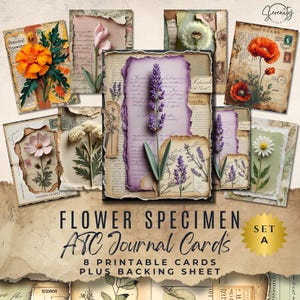 May include: A collection of vintage-style ATC journal cards featuring botanical illustrations. The cards showcase various flowers, including marigolds, poppies, and lavender, with a distressed paper aesthetic. The text "FLOWER SPECIMEN ATC Journal Cards" is displayed.