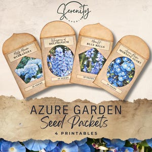 Etichette per diario spazzatura Azure Garden Seed Packet - Materiale effimero digitale - Disegni floreali vintage - Materiali per il bricolage stampabili 11 x 8,5, JJ063
