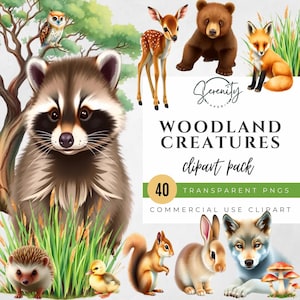 Watercolor Woodland Creatures Clipart: 40 PNG Forest Animals (Digital Download)