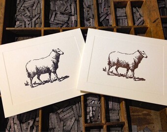 Ten Letterpress Note Cards "Sheep" - Set of 10 cards with matching envelopes