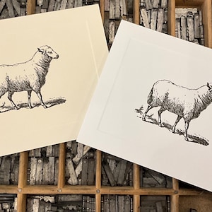Ten Letterpress Note Cards &quot;Sheep&quot; - Set of 10 cards with matching envelopes