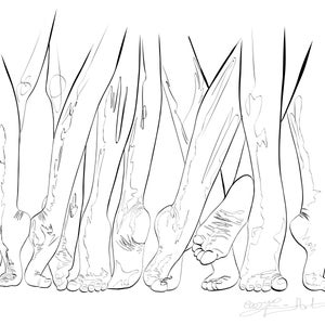 May include: A black and white line drawing of multiple legs and feet in various positions. The artwork features detailed outlines of the legs and feet, with emphasis on the curves and contours of the human form. The style is minimalist and artistic.