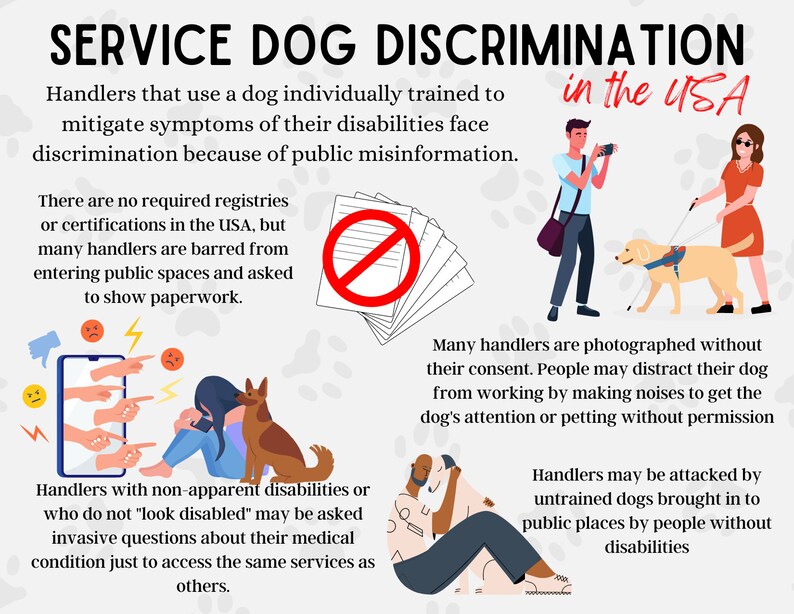 Service Dog Discrimination 3 Postcard Pack Informational Etsy