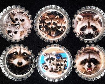 Six Adorable Raccoons In 1" Silver Bottle Caps Magnets