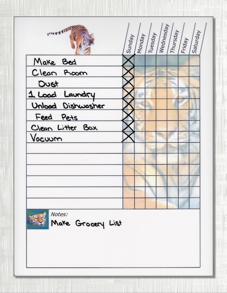 Teen / Adult Chore Charts Shipped! Works like Dry Erase Board. Multiple themes, To Do List, Daily Planner image 1