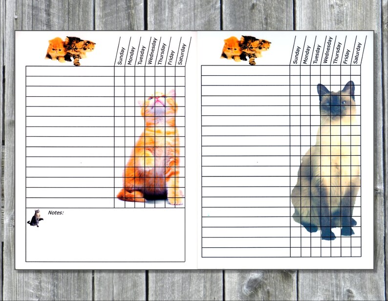 Teen / Adult Chore Charts Shipped! Works like Dry Erase Board. Multiple themes, To Do List, Daily Planner image 4