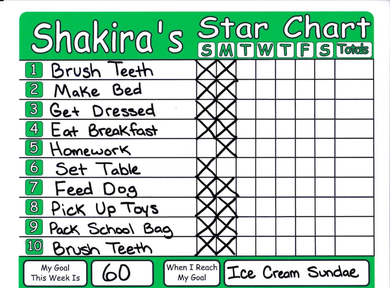 Chore Chart Shipped Works like Dry Erase Board, Set Chores, Behaviors, Goals, & Rewards 画像 3