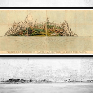 Old Poster Mountains of the World Comparative Heights Chart 1828 Vintage Poster | Vintage Map Wall Art Print | Large Poster Print
