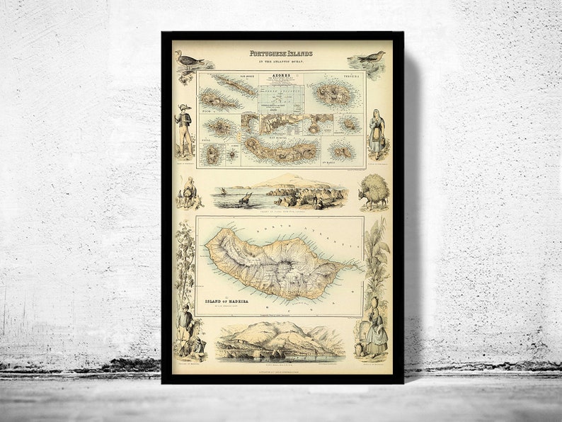Old Map of Açores Azores and Madeira Islands 1876, Portuguese islands Vintage Poster Wall Art Print Wall Map Print Old Map Print image 1