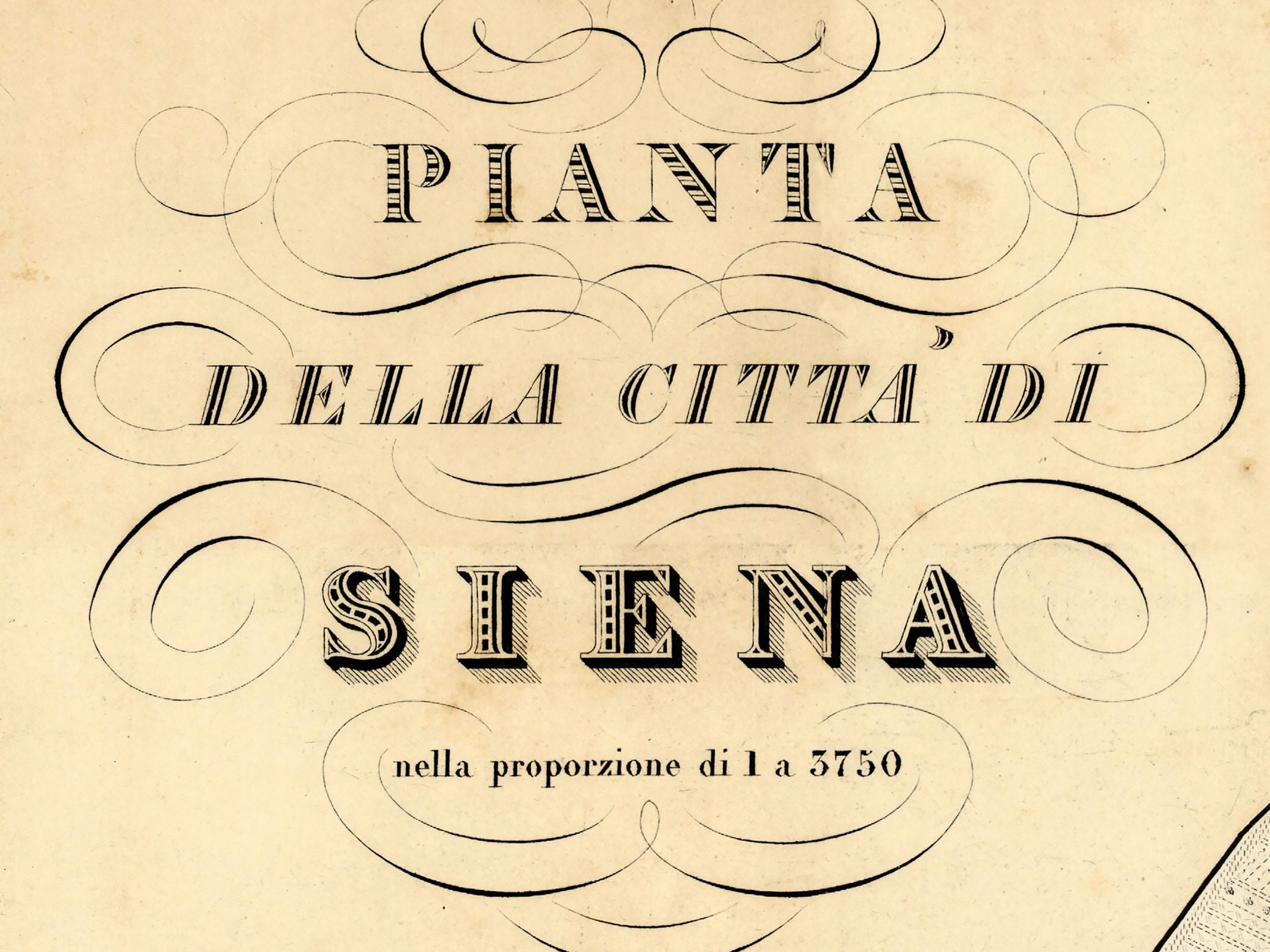 Tirage Photographique Albuminé Vintage - Sienne, Italie - Environ 1880 - Format 10x14 Cm